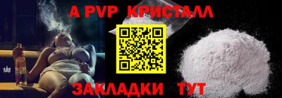 спиды Кингисепп