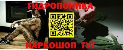 спиды Кингисепп
