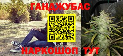 спиды Кингисепп