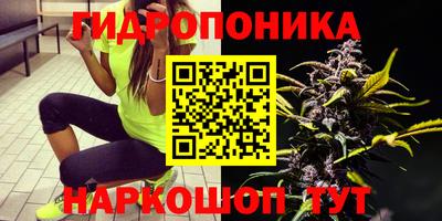 таблы Кимры