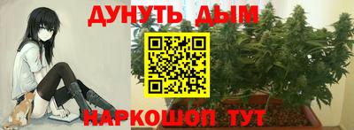 дживик Кинель