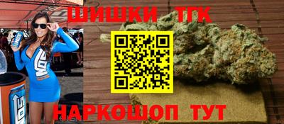 спиды Кингисепп