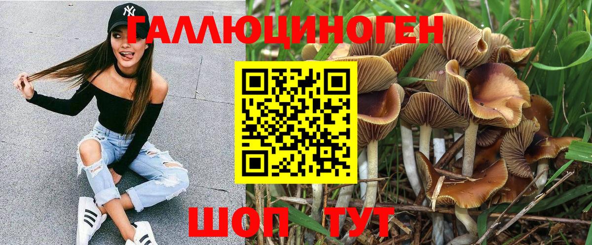 купить наркотик  Псилоцибиновые грибы мицелий  Джанкой  Вход с VPN  Псилоцибиновые грибы прущие грибы 
