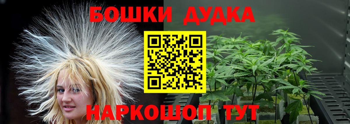 Бошки марихуана ГИДРОПОН  Каннабис планчик  МАРИХУАНА индика  Вход с VPN  Джанкой 